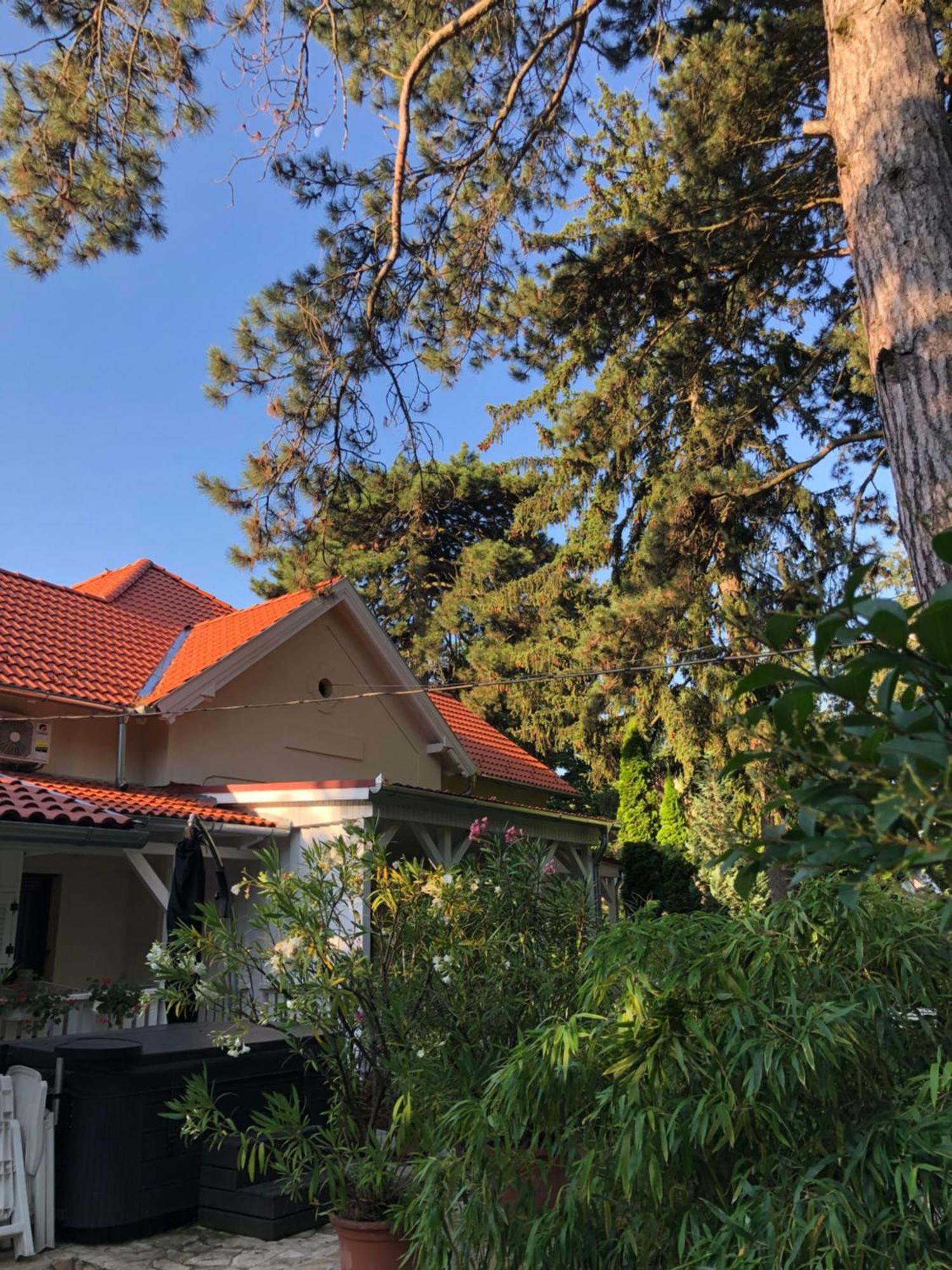 Szem-S Vendeghaz Hotell Balatonszárszó Eksteriør bilde